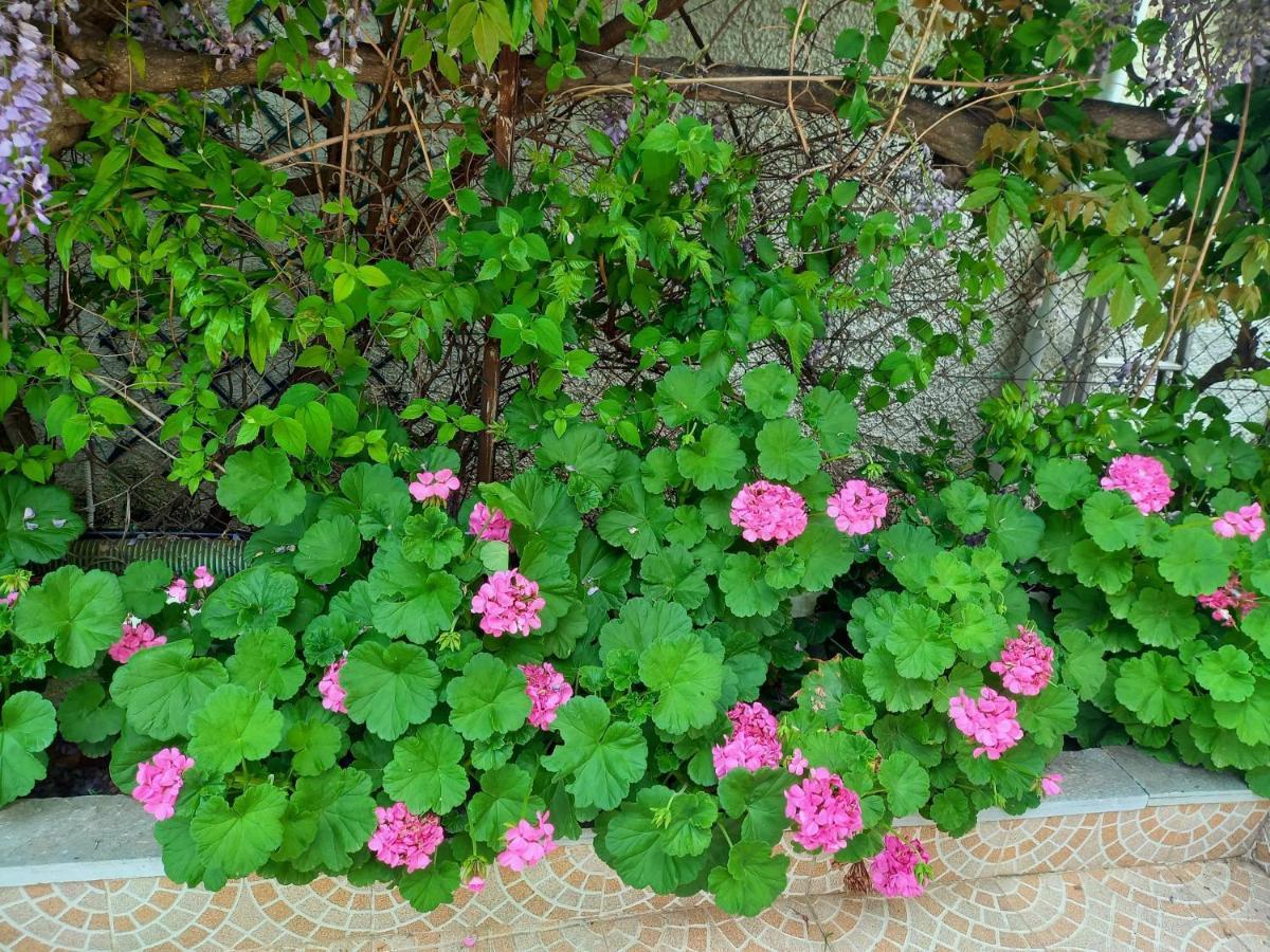 Pikérmion Peaceful House Near Airport 빌라 외부 사진