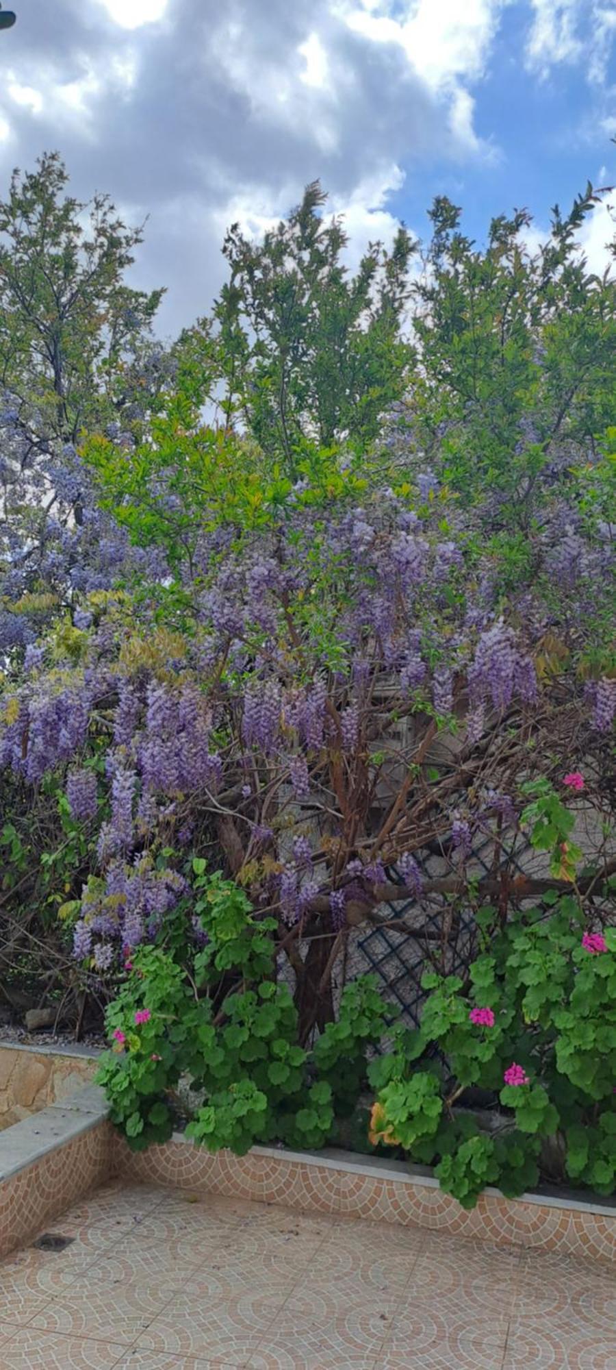 Pikérmion Peaceful House Near Airport 빌라 외부 사진